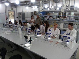 Prva regionalna škola mikroskopije